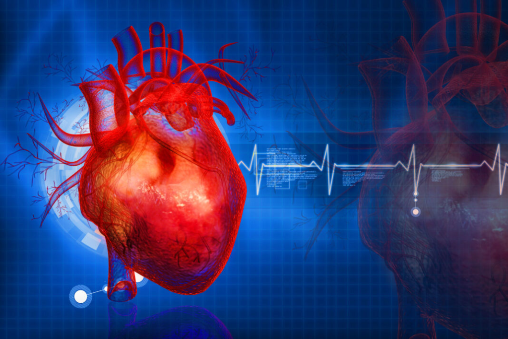 Sant’Anna Pisa. Master Universitario per la gestione clinica dei pazienti cardiovascolari