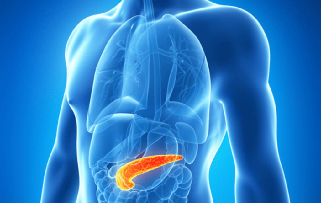 Un nuovo approccio al pancreas artificiale per pazienti diabetici di tipo 1
