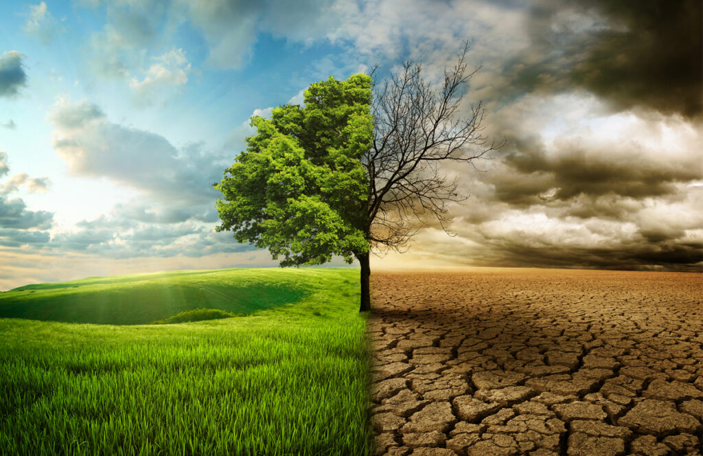 Leonardo e BF Spa uniti contro il cambiamento climatico