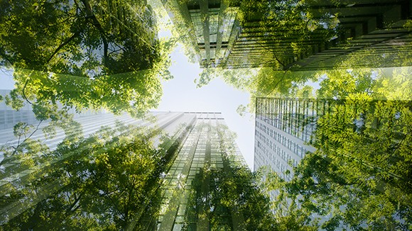 Eroundme, Marlo e TreeBlock: la nuova alleanza per la sostenibilità che anticipa il futuro del bilancio ESG
