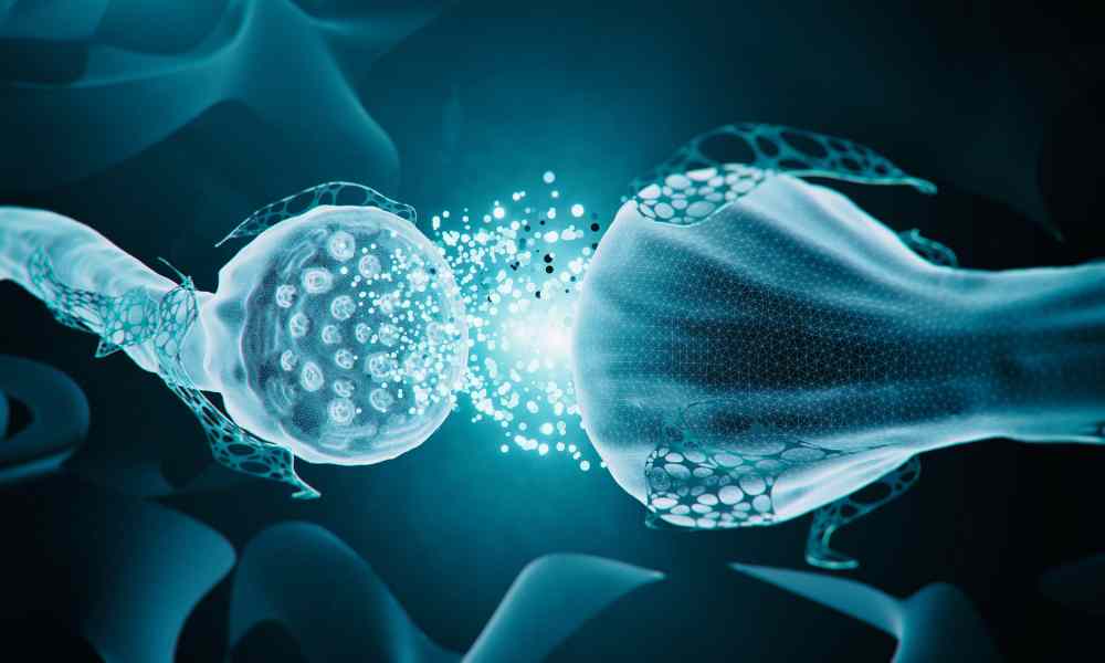 Ruolo chiave dei neurorecettori mGlu3 nella malattia di Parkinson