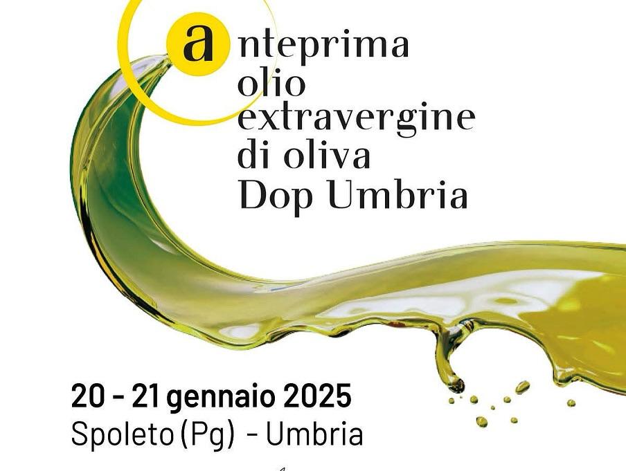 Oleoturismo. L’annata 2024/2025 dell’Olio Extravergine di Oliva Dop Umbria