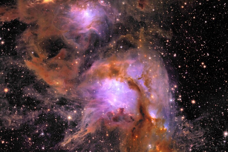 Telescopio Euclid e la scoperta della prima lente gravitazionale forte