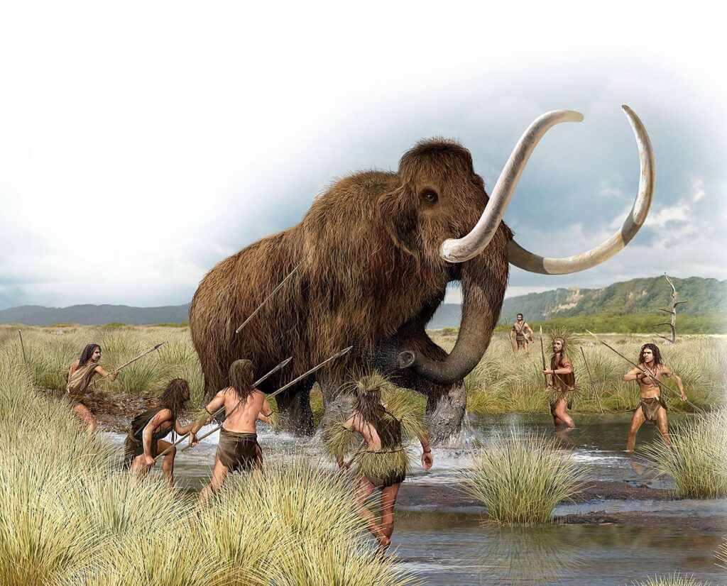 Ricerche scientifiche. La scomparsa dei mammut? Ce li siamo mangiati! 