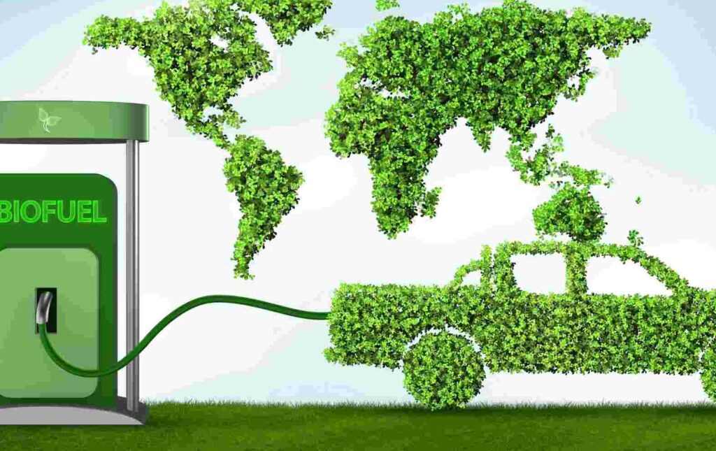 Biofuel. Inglese il destino della benzina che domani profumerà