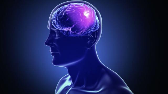 Scoperti 2 marcatori biologici comuni ad Alzheimer e SLA