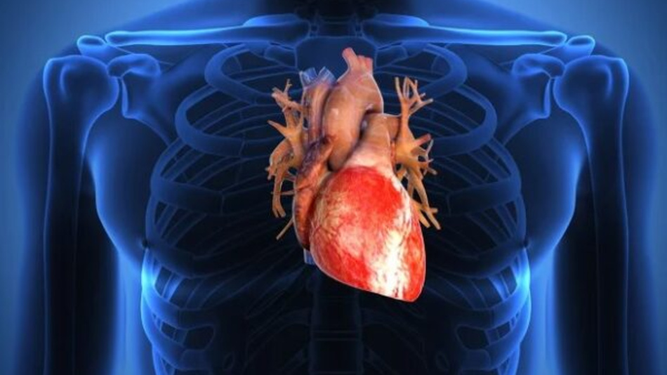Nuove scoperte sulla diagnosi precoce dell’amiloidosi cardiaca