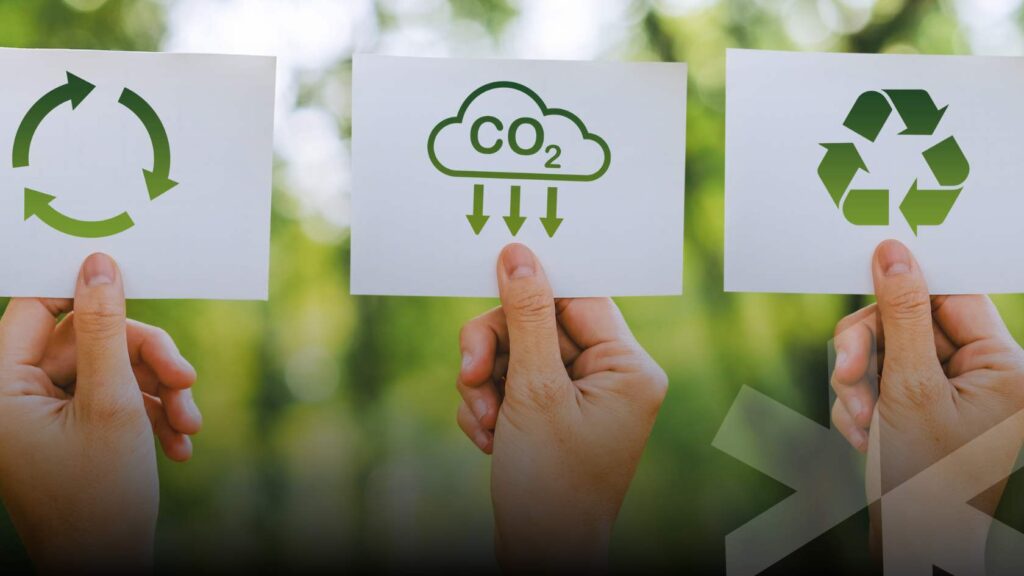 Sinergie green. L’Accordo tra e-Roundme, Treeblock e Marlo per un futuro sostenibile