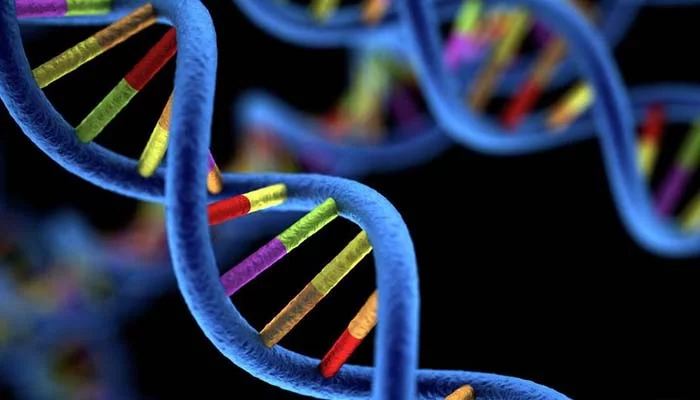 LifeMap: il progetto di ricerca genomica per la medicina personalizzata fa tappa all’Università dell’Aquila