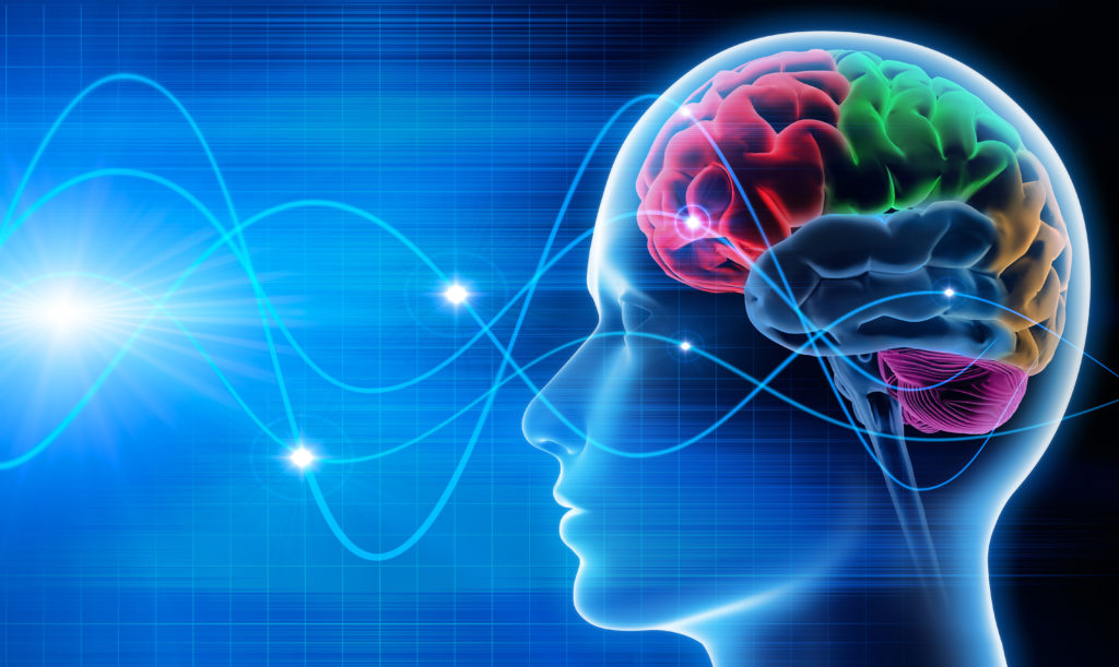 Come si formano le onde cerebrali nelle aree della memoria: nuova scoperta scientifica