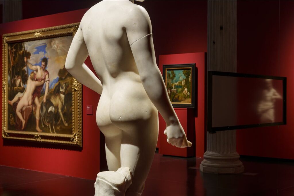 Venezia Gallerie dell’Accademia. Leonardo, Michelangelo, Dürer, Giorgione