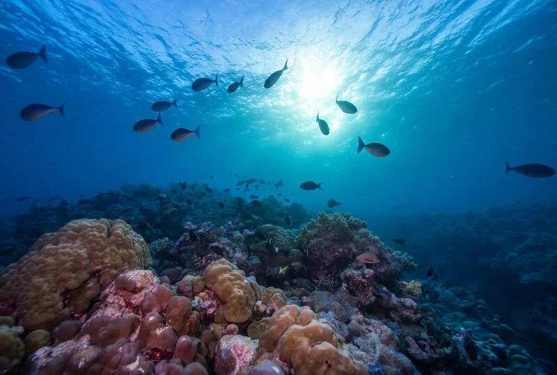 Oceani, l’ultima frontiera