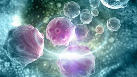 DDX11 e autofagia. Nuove speranze contro le malattie neurodegenerative